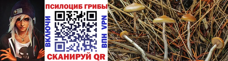 Галлюциногенные грибы ЛСД  наркошоп  Туапсе 
