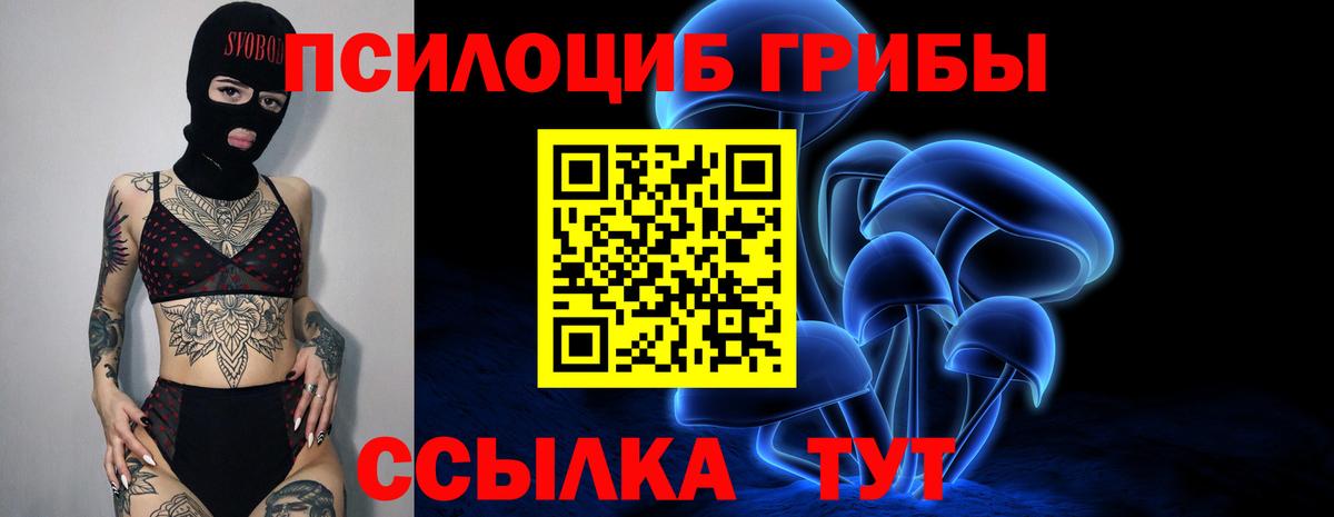 Псилоцибиновые грибы Magic Shrooms  Вход с VPN  Псилоцибиновые грибы Cubensis  Туапсе 